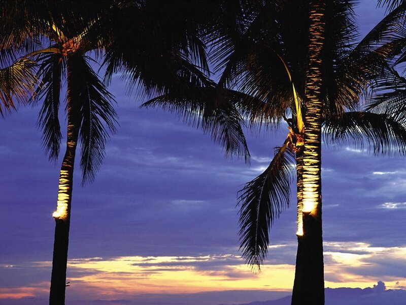 Palm Trees at Sunset — Purple, Serene, Photograph