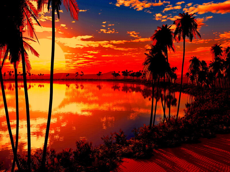 Palm Trees at Sunset — Red, Dramatic, Digital Art