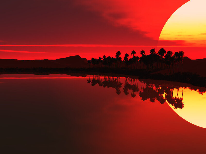 Palm Trees at Sunset — Red, Dramatic, Digital Art, Water