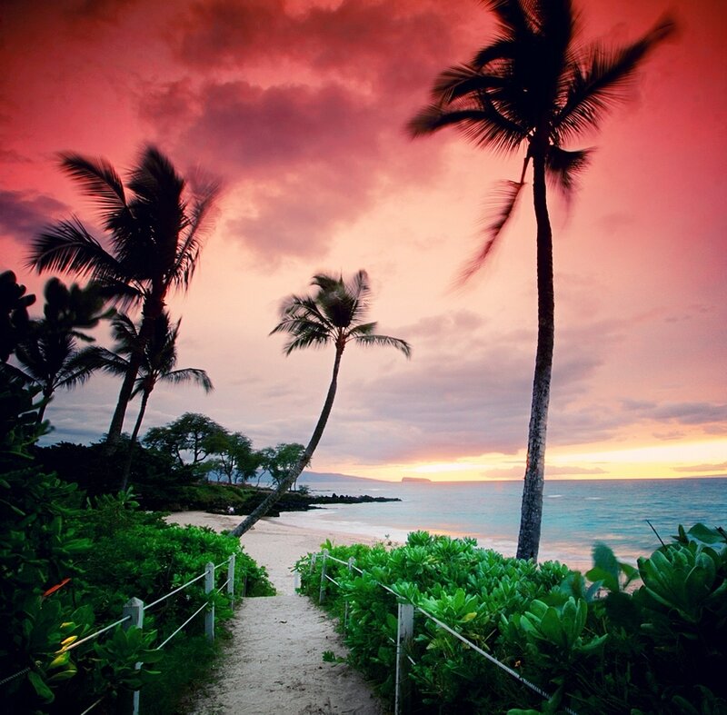 Palm Trees at Sunset — Red, Dramatic, Photograph, Beach