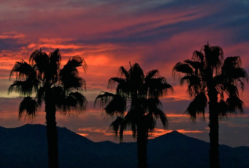 Palm Trees at Sunset — Red, Dramatic, Photograph, Mountains