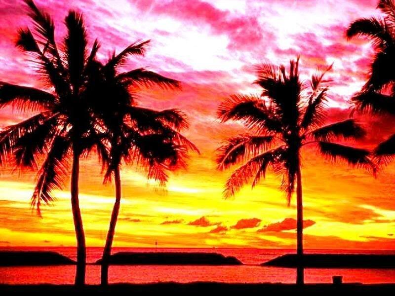 Palm Trees at Sunset — Red, Dramatic, Photograph, Ocean, Sky, Clouds