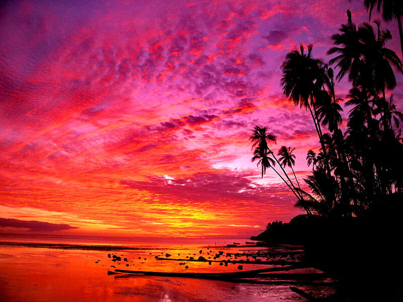 Palm Trees at Sunset — Red, Dramatic, Photograph, Ocean, Sky