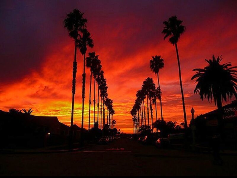 Palm Trees at Sunset — Red, Dramatic, Photograph, Sky