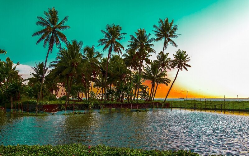 Palm Trees at Sunset — Teal, Serene