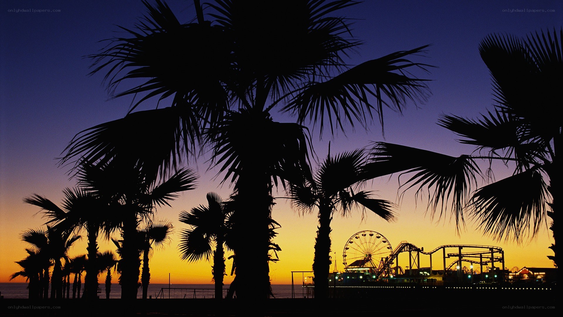 Palm trees at sunset with amusement park