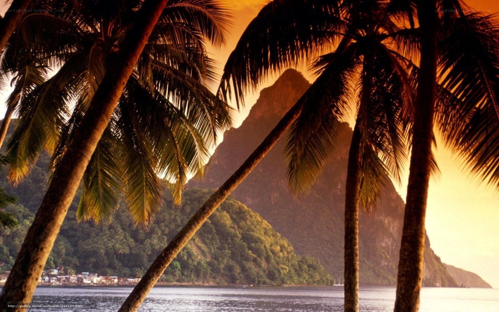 Palm trees at sunset with mountains