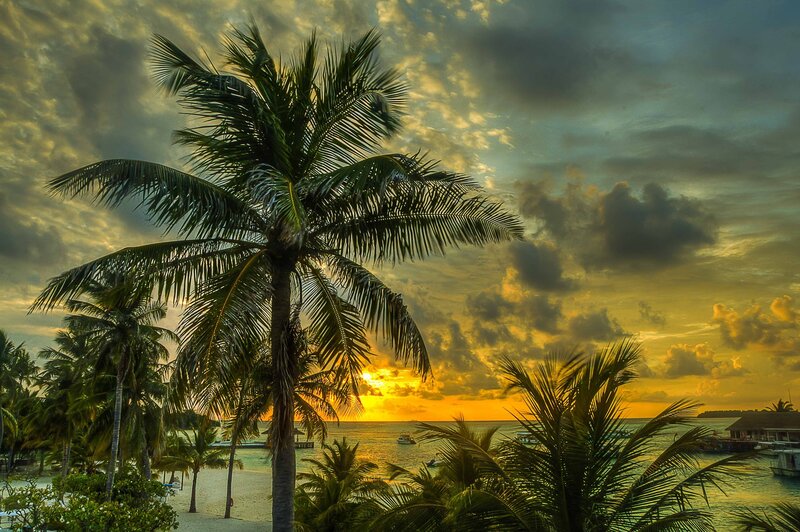 Palm Trees at Sunset — Yellow, Dramatic, Photograph, Ocean, Boats, Clouds