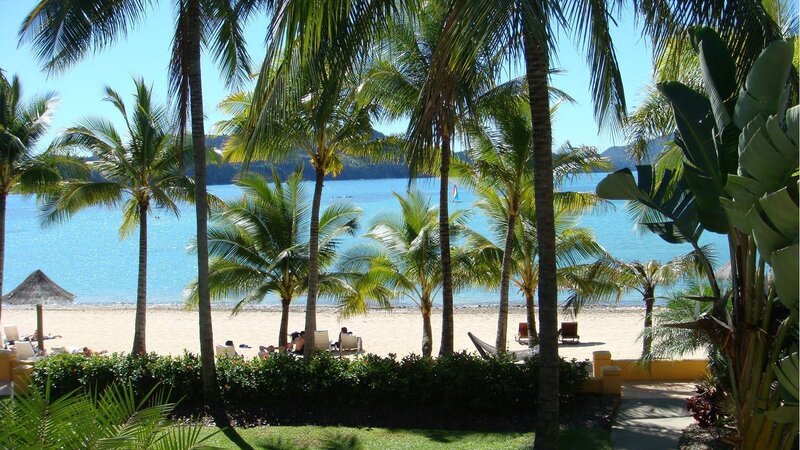 Palm trees at tropical beach