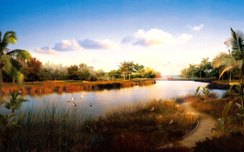 Palm Trees by Lake — Blue, Serene, Sunset