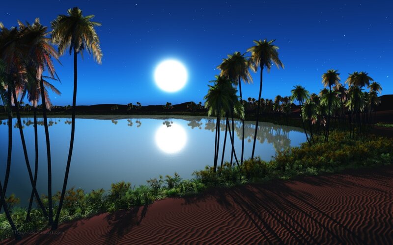 Palm Trees by Lake — Blue, Serene