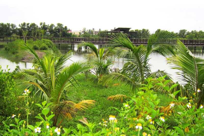 Palm Trees by Lake — Green