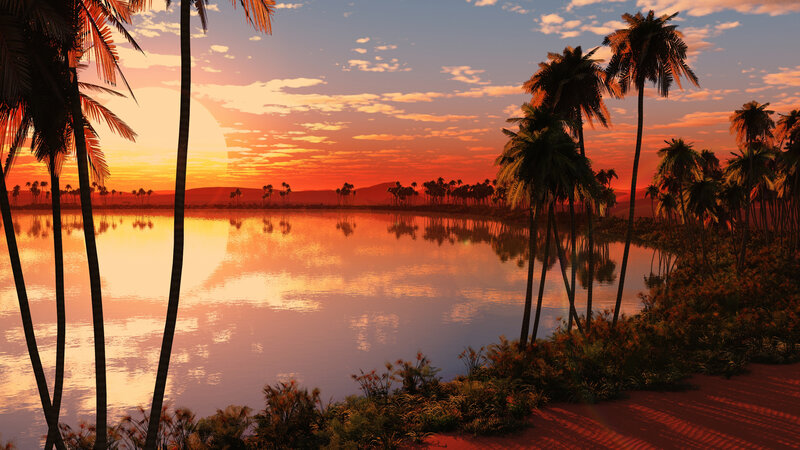Palm Trees by Lake — Orange