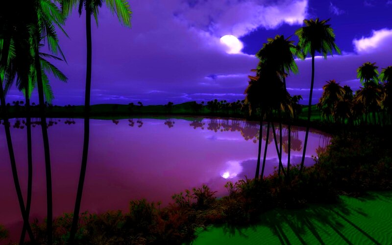 Palm Trees by Lake — Purple, Dramatic