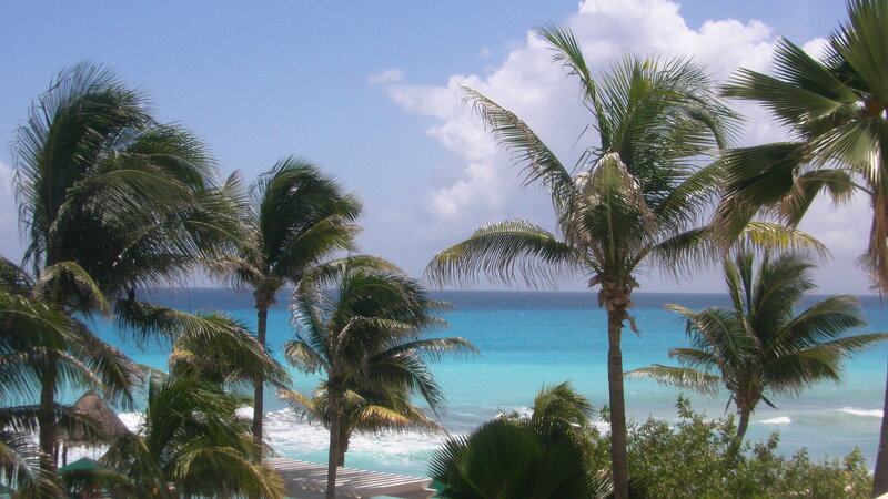 Palm Trees by Ocean — Blue, Serene, Afternoon