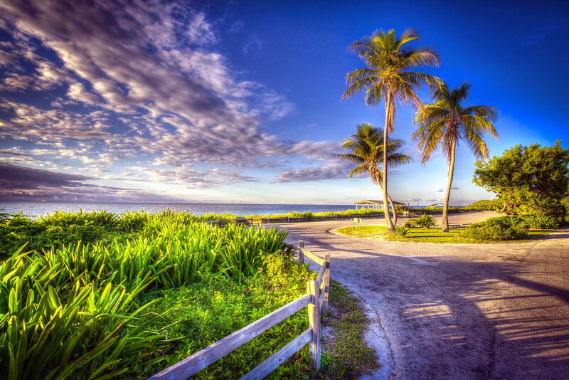Palm Trees by Ocean — Blue, Serene, Sunset