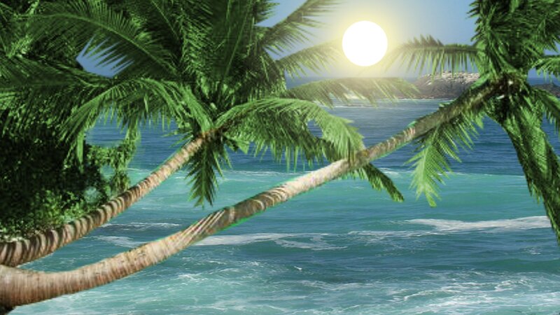 Palm Trees by Ocean — Green, Serene