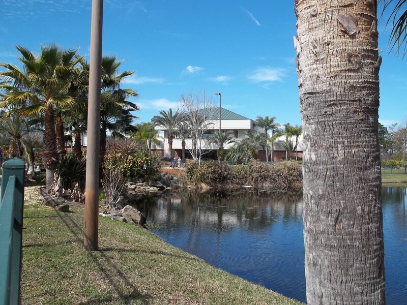 Palm Trees by Pond — Blue