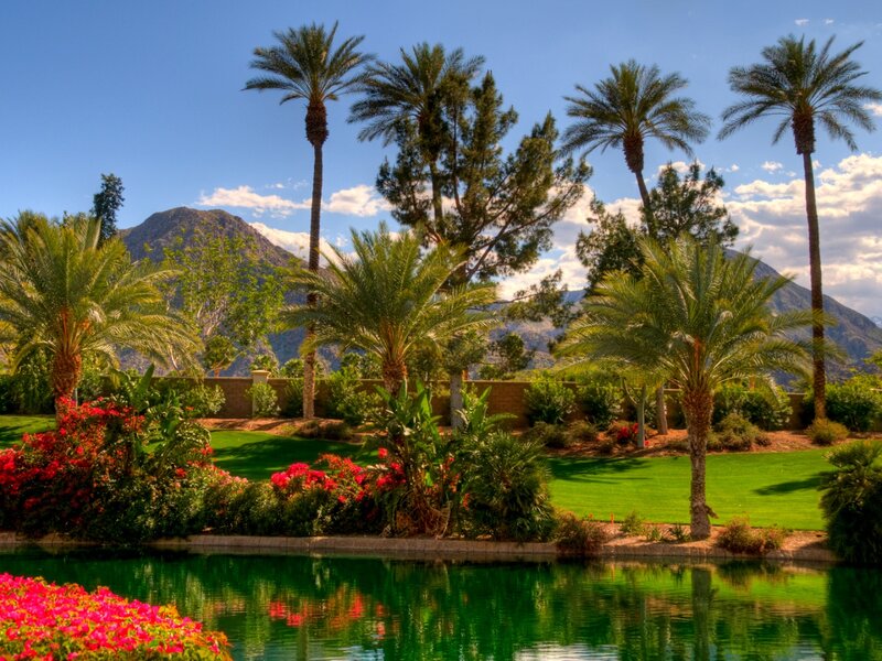Palm Trees by Pond — Green