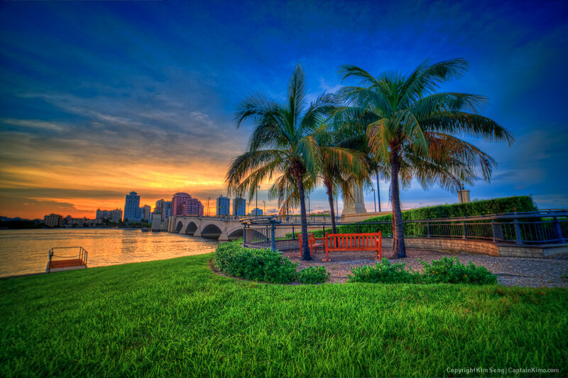 Palm Trees by River — Green
