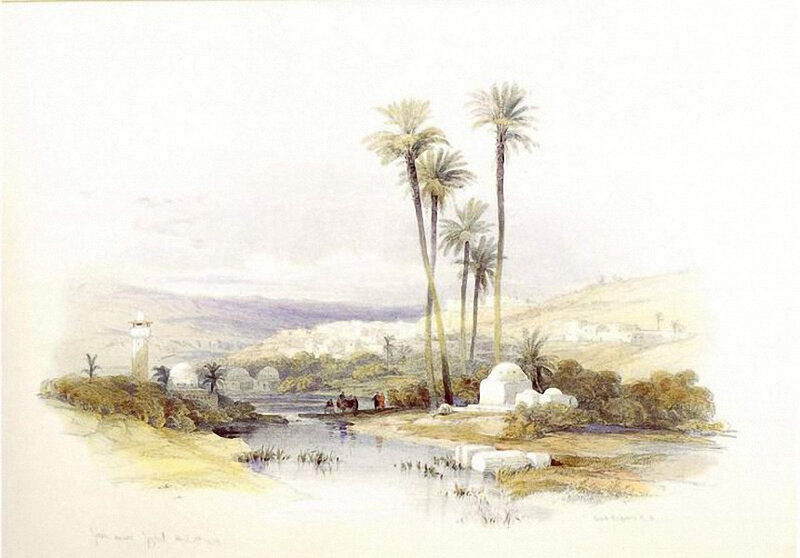 Palm Trees by River