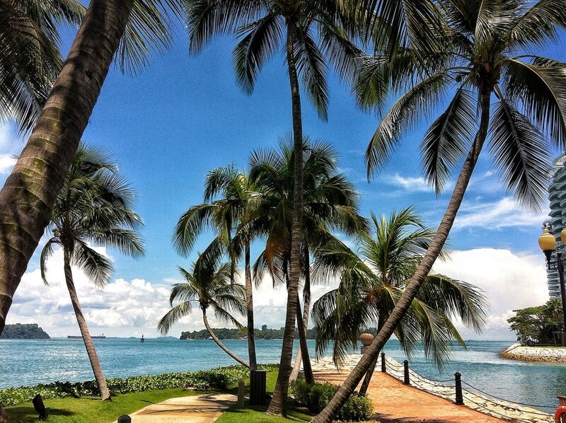 Palm Trees by the Sea — Blue, Serene, Afternoon, Photograph