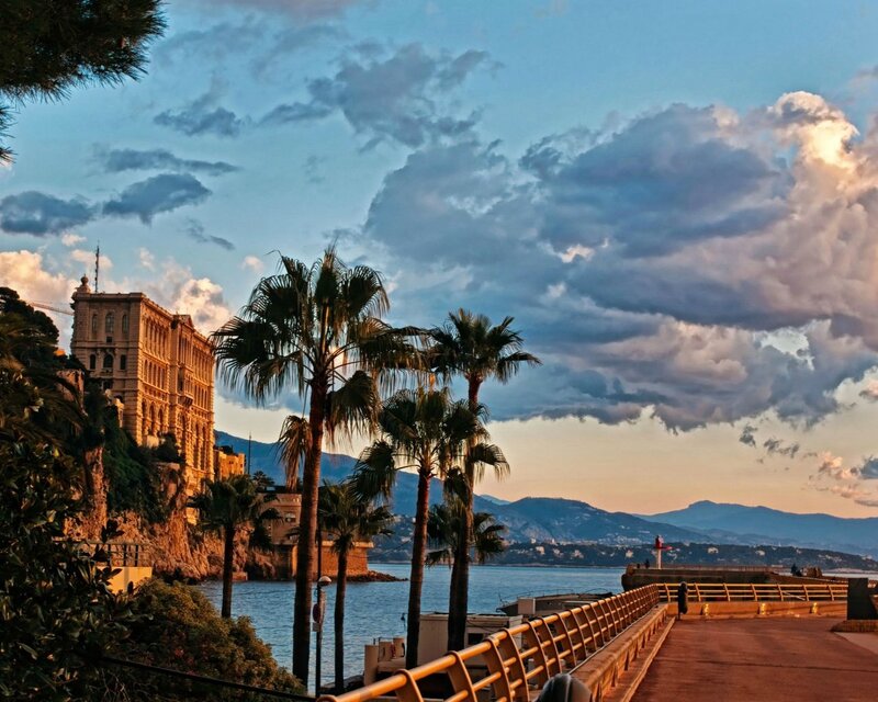 Palm Trees by the Sea — Blue, Serene, Sunset
