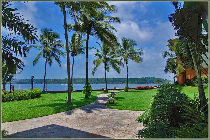 Palm Trees by the Water — Green