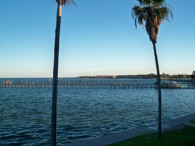 Palm Trees by Water — Blue, Serene, Afternoon