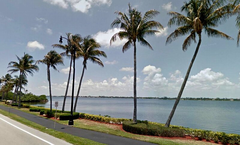 Palm Trees by Water — Blue, Serene