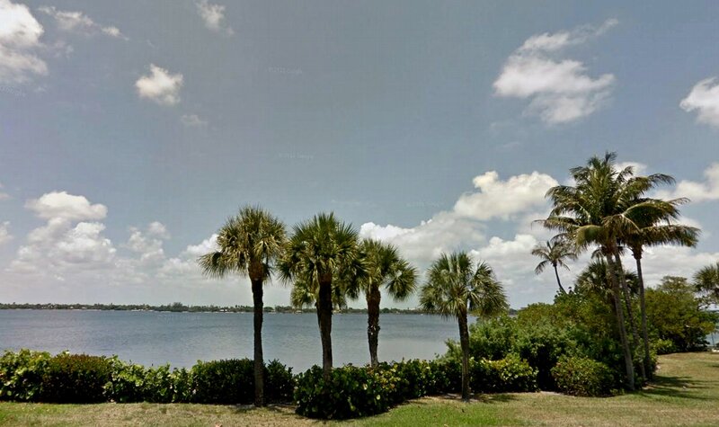 Palm Trees by Water — Blue