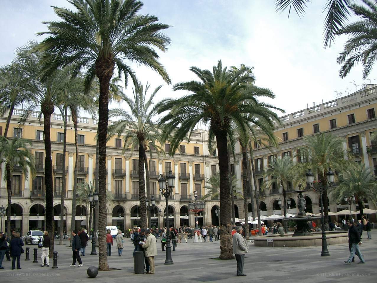 Palm trees in a city square