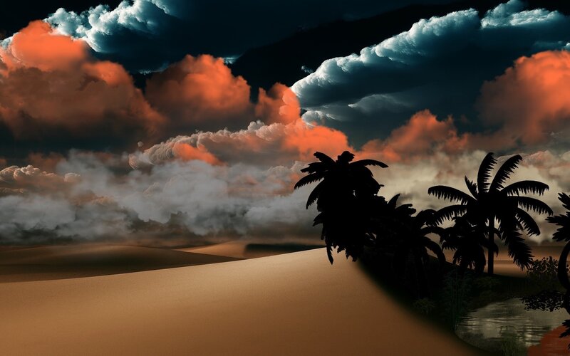Palm Trees in Desert — Orange, Dramatic, Sunset