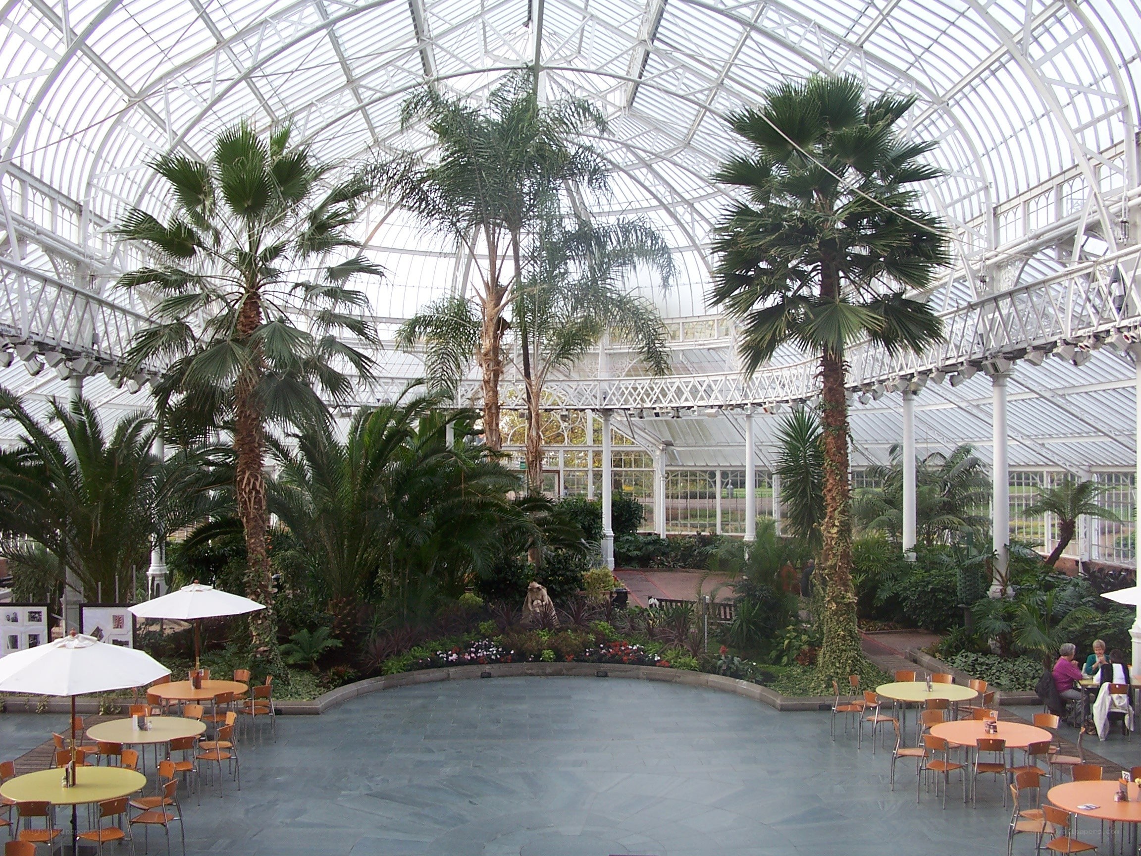 Palm trees in glass conservatory