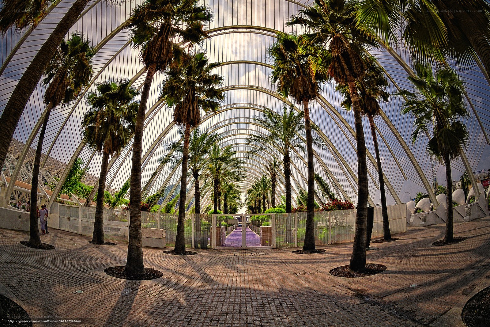 Palm trees in glass conservatory