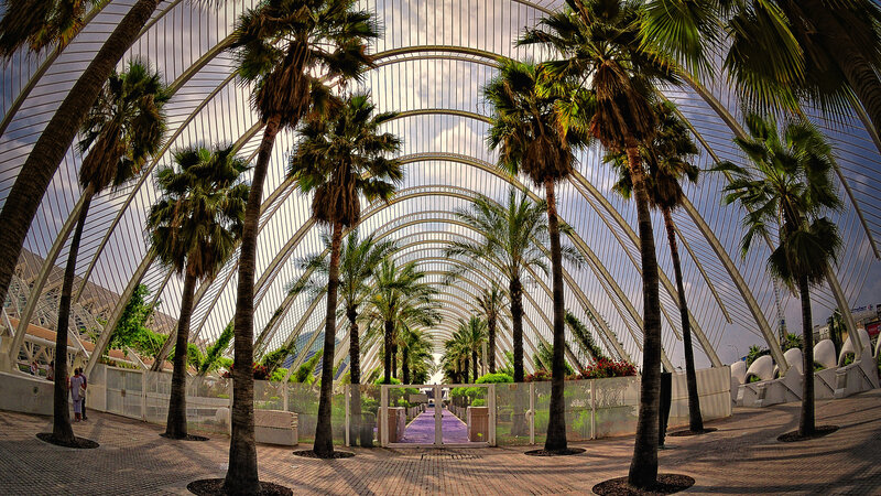 Palm Trees in Glass Dome