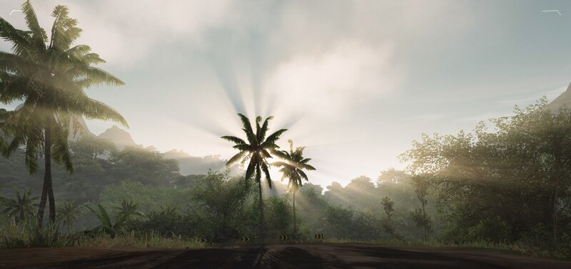 Palm Trees in Jungle — Green