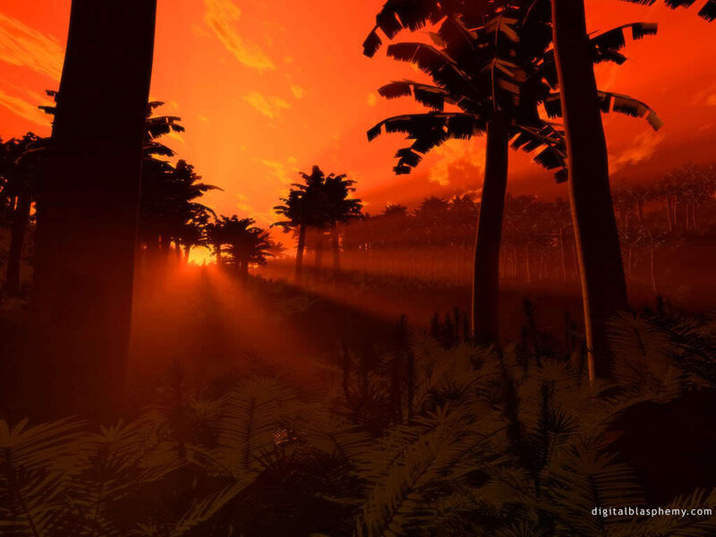 Palm Trees in Jungle — Orange, Dramatic