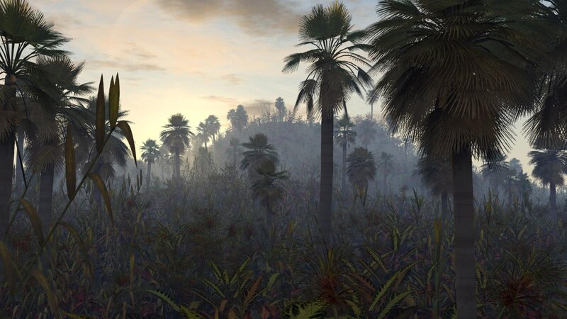 Palm Trees in Jungle