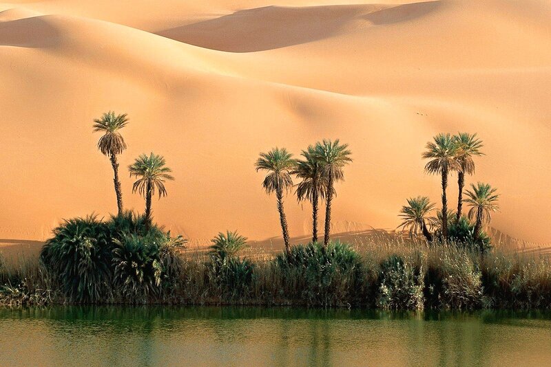 Palm Trees in Oasis — Orange, Serene, Sunset, Photograph, Sand Dunes