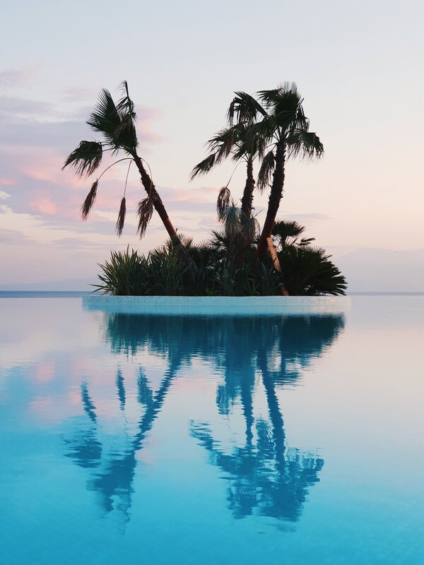 Palm Trees in Pool