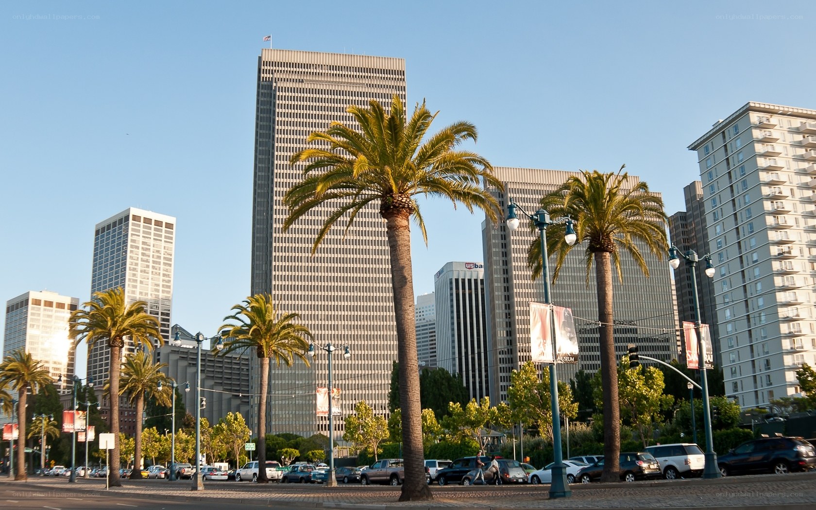 Palm trees in San Francisco skyline