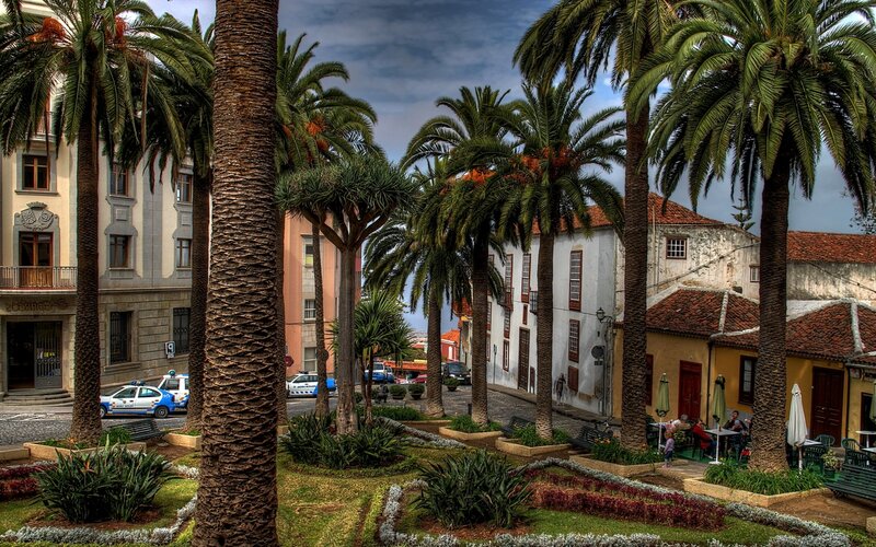 Palm Trees in Town Square — Green