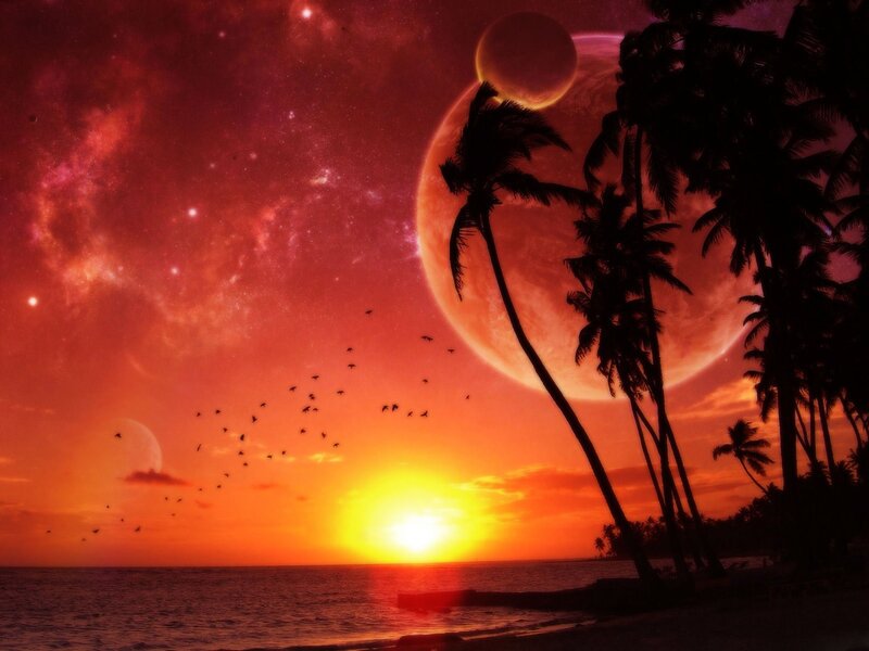 Palm Trees on Alien Beach