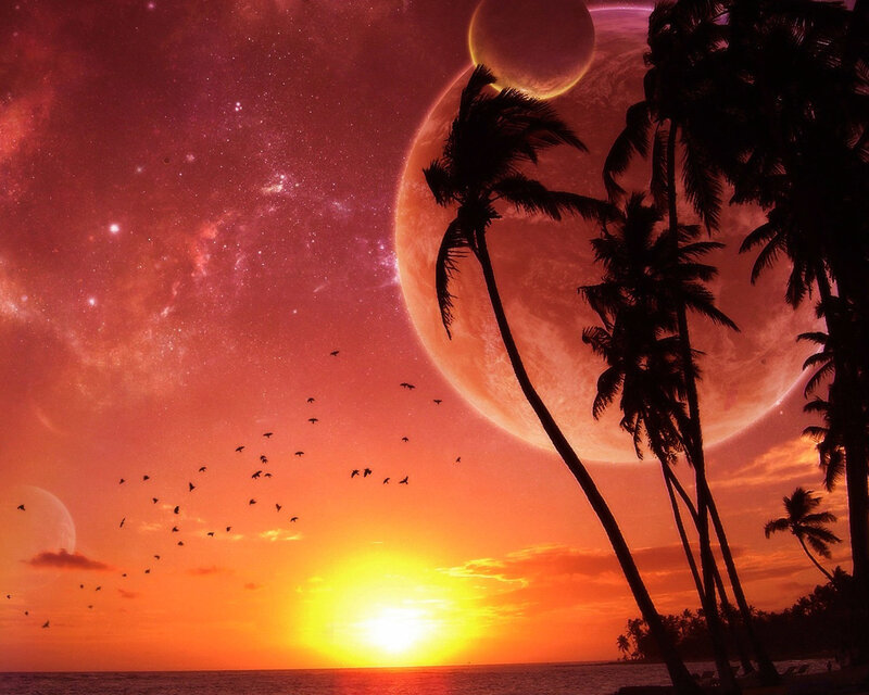 Palm Trees on Alien Planet — Orange, Dramatic