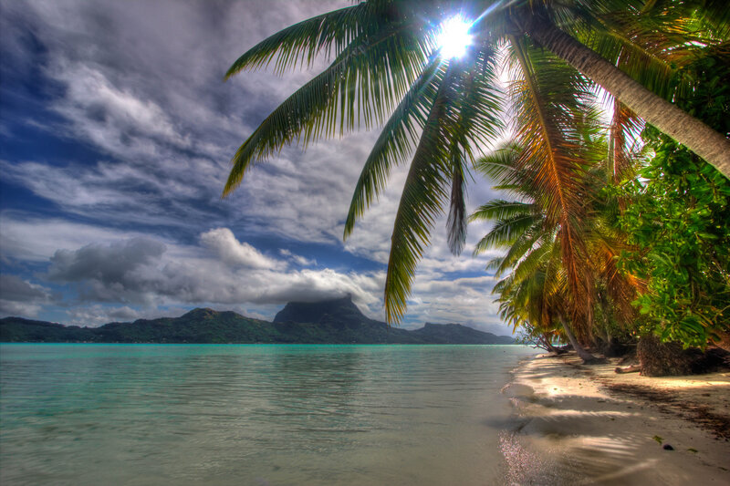 Palm Trees on Beach — Blue, Dramatic, Afternoon, Photograph, Ocean, Mountain