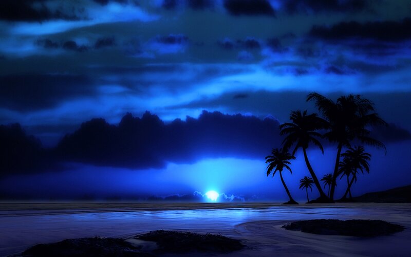 Palm Trees on Beach — Blue, Dramatic, Night, Digital Art, Ocean