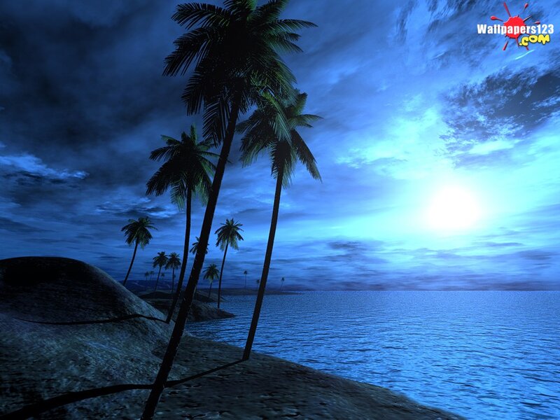 Palm Trees on Beach — Blue, Dramatic, Night, Digital Art