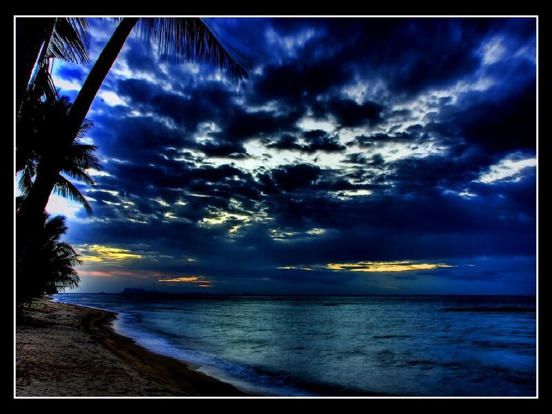Palm Trees on Beach — Blue, Dramatic, Night, Photograph, Ocean