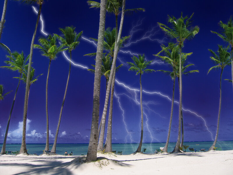 Palm Trees on Beach — Blue, Dramatic, Night